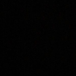 Meet your Posher, Isabella